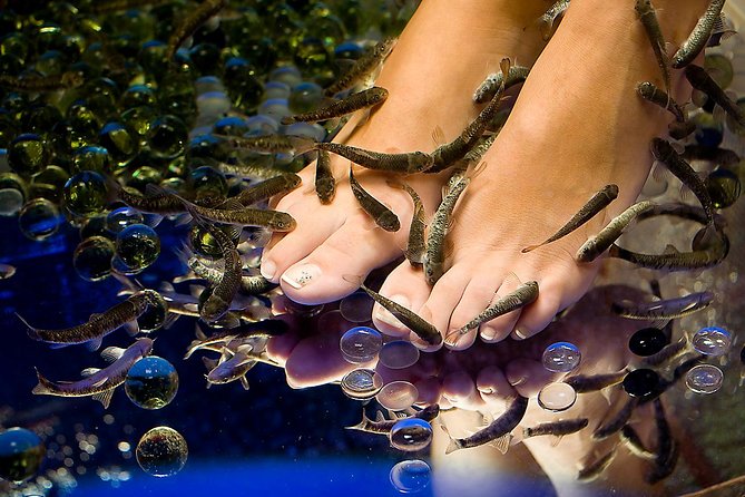 1-Hour Aroma Oil Massage plus 20-Minute Free Fish Pedi - The 60-minute aroma oil massage