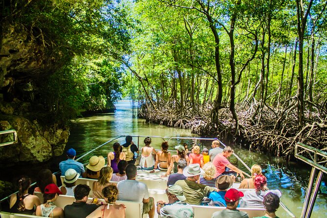 2in1: Los Haitises National Park + Yanigua Waterfall-SPA - Key points at a glance