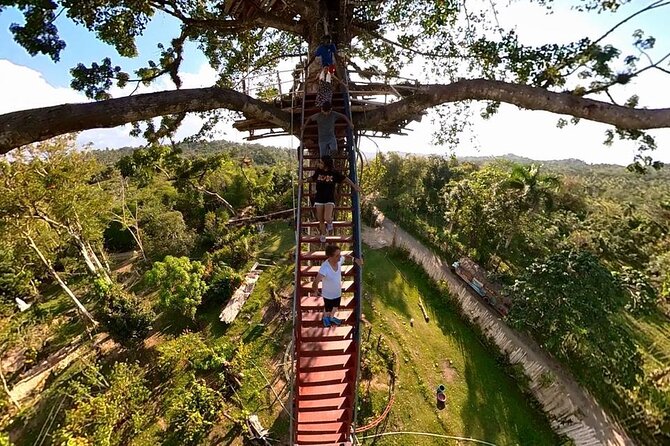 2in1: Los Haitises National Park + Yanigua Waterfall-SPA - Boat routes and limestone rocks at Los Haitises