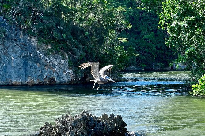 2in1: Los Haitises National Park + Yanigua Waterfall-SPA - Rainforest connected with Jurassic Park