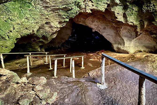2in1: Los Haitises National Park + Yanigua Waterfall-SPA - Cocoa, coffee, and Dominican Nutella