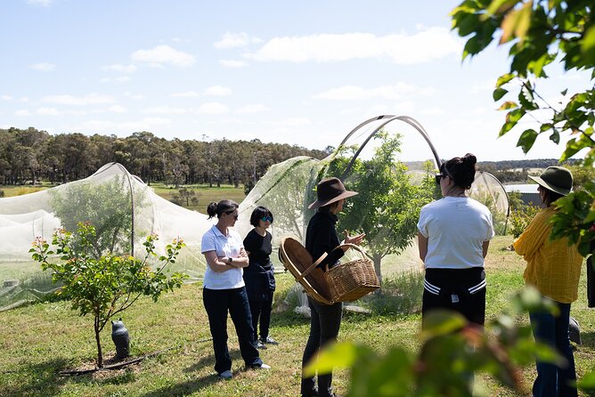 3 Day Margaret River Yoga Wellness Glamping Adventure From Perth - Day three: Sound meditation, biodynamic wine, and a final meal