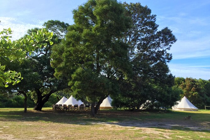 3 Day Margaret River Yoga Wellness Glamping Adventure From Perth - Weather, fitness, and group style