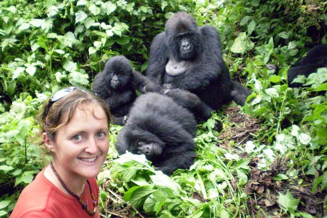 3 days Uganda Gorilla safari tour with relaxation on Lake Bunyonyi - The return through Mbarara and Igongo Cultural Center