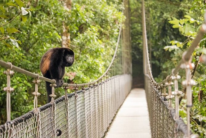 3 in 1 Combo: La Fortuna Waterfall, Hanging Bridges, Thermal Spa from San José - Los Lagos thermal pools, the right ending