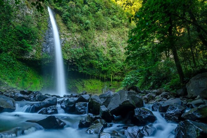 3 in 1 Combo: La Fortuna Waterfall, Hanging Bridges, Thermal Spa from San José - Guides, wildlife, and the human side of the trip