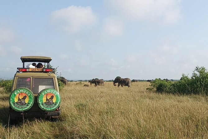 4-Day QENP, Gorillas in Bwindi and Lake Bunyonyi relaxation - Day 3: From Queen Elizabeth to Lake Mburo
