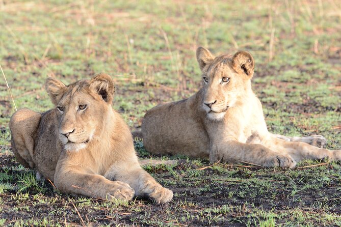 4-Day QENP, Gorillas in Bwindi and Lake Bunyonyi relaxation - Cancellation and booking checks