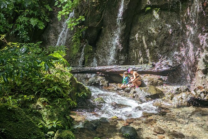 A Day of Relaxation in the Jungle and Waterfalls of Dominica - What the $306.04 price really buys
