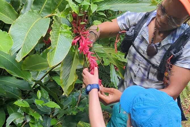 A Day of Relaxation in the Jungle and Waterfalls of Dominica - Timing, meeting point, and transport details