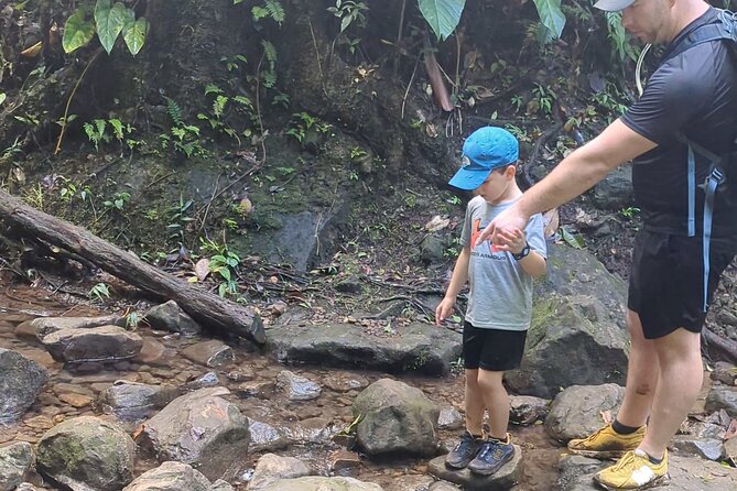 A Day of Relaxation in the Jungle and Waterfalls of Dominica - Who should book this experience