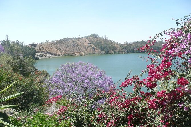 Addis Ababa Spa Day Trip To Debre Ziet(Resort Towns) - Leaving Addis Ababa from Bole Airport