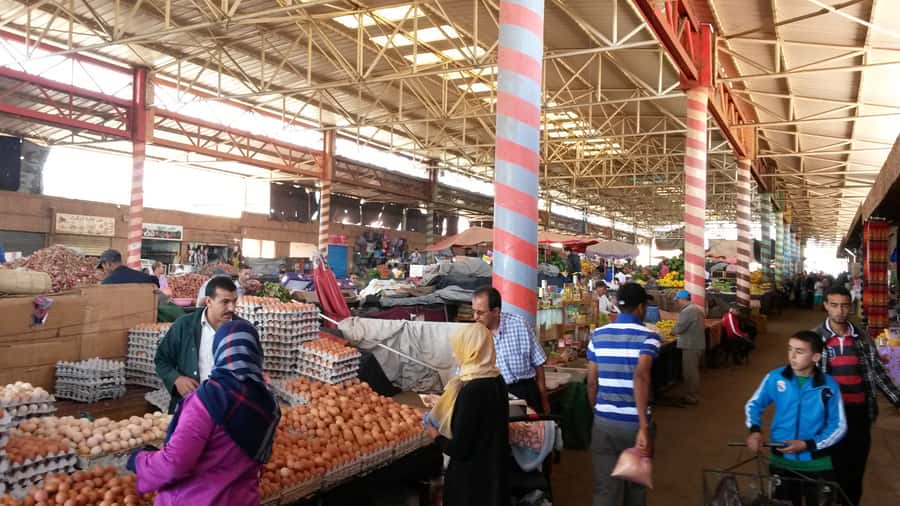 Agadir: City Tour with Hammam and Massage - See the world’s biggest sardine harbor