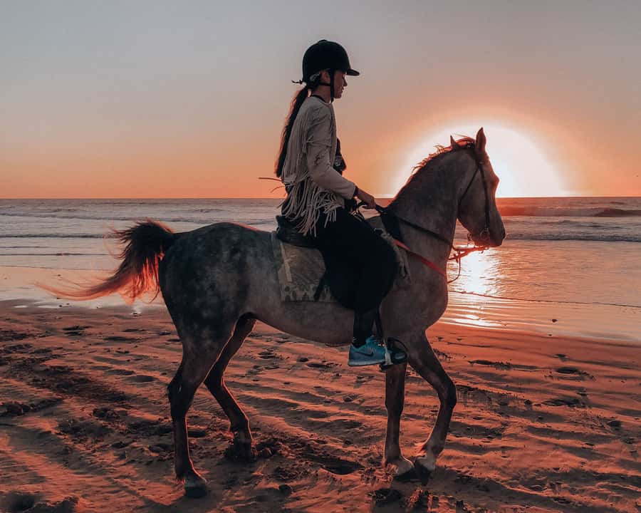 Agadir: Sunset Horse Riding Experience And Relaxing Massage - Key points at a glance