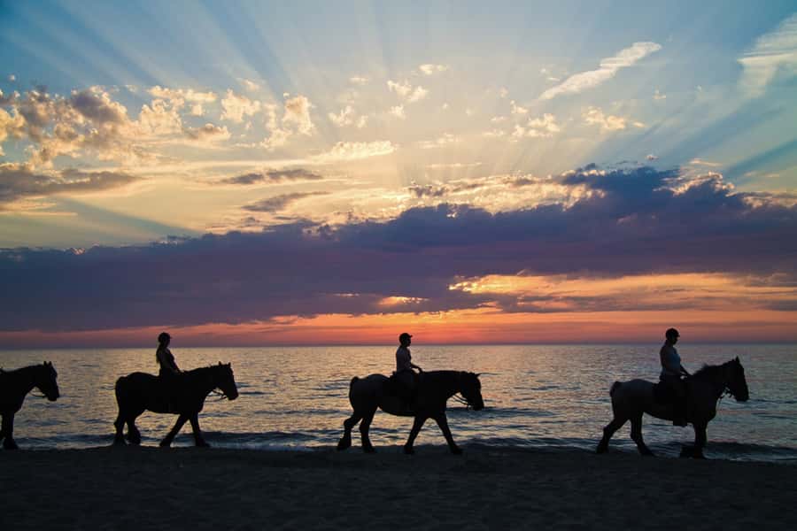 Agadir: Sunset Horse Riding Experience And Relaxing Massage - Two hours on a Barb Arabian horse