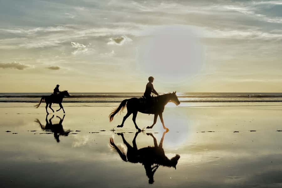 Agadir: Sunset Horse Riding Experience And Relaxing Massage - Hotel pickup keeps the day simple