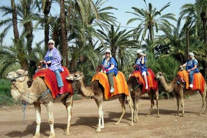 Agafay Desert Adventure, Culture, and Relaxation, From Marrakech - Why Agafay works for a short Marrakech escape