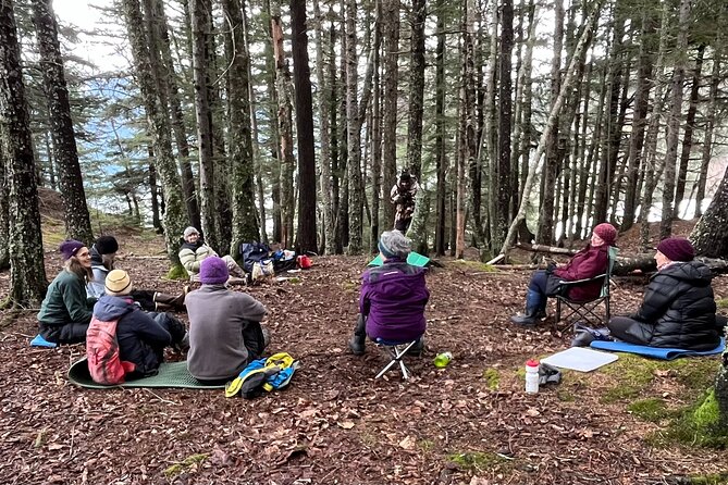 Alaska Nature Immersion: Forest Therapy Tour in Haines, Alaska - From the cruise dock to Portage Cove Park