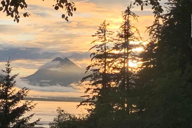 Alaska Nature Immersion: Forest Therapy Tour in Haines, Alaska - Why the three-hour length works