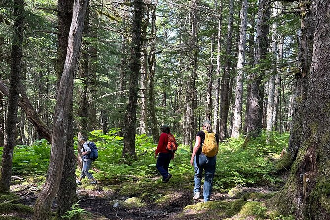Alaska Nature Immersion: Forest Therapy Tour in Haines, Alaska - The $109 price and what you receive