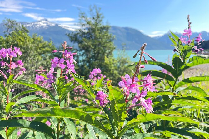 Alaska Nature Immersion: Forest Therapy Tour in Haines, Alaska - Weather, clothing, and trail comfort