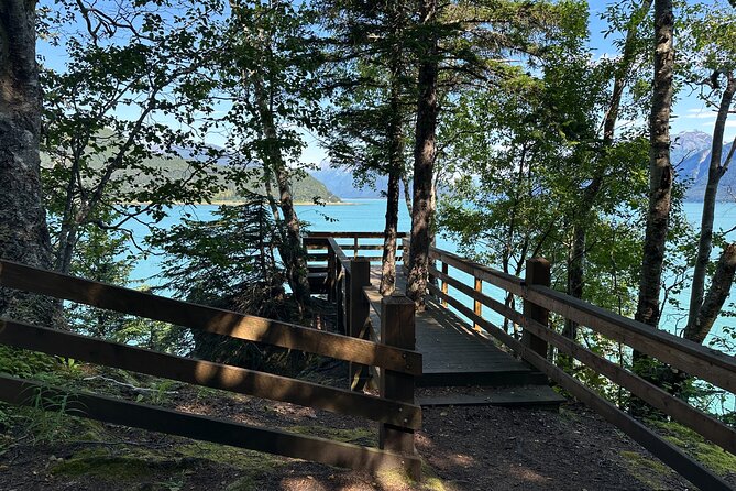 Alaska Nature Immersion: Forest Therapy Tour in Haines, Alaska - Inside the forest, field, and waterfront