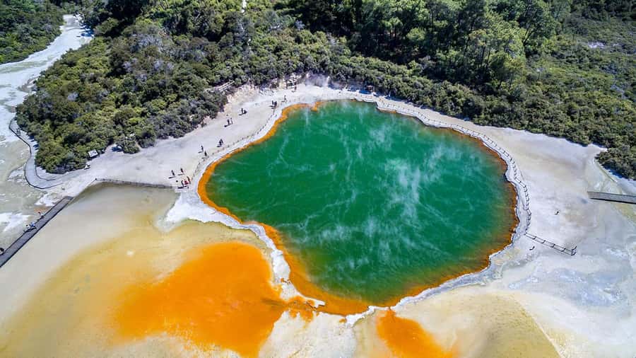 Auckland: Rotorua Highlights inc Wai-O-Tapu & Polynesian Spa - Two hours at Polynesian Spa