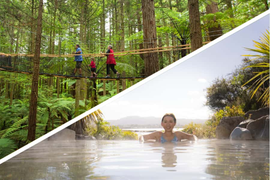 Auckland: Rotorua Highlights with Redwoods Treewalk & Spa - Key details that shape the day