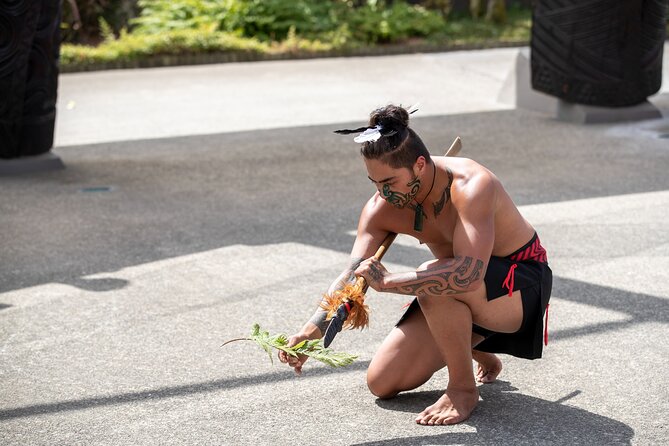 Auckland: Rotorua Te Puia with Haka & Polynesian Spa Small Group - A short look at Rotorua between the stops