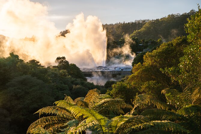 Auckland: Rotorua Te Puia with Haka & Polynesian Spa Small Group - Practical tips for making the day work