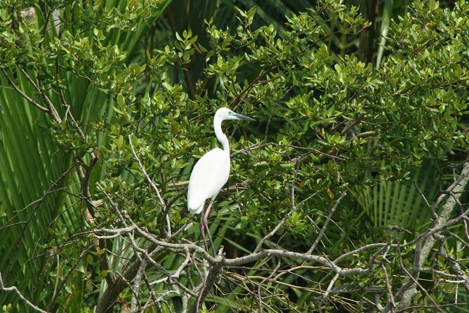 Bali: Point of Bliss massage with mangrove Kayaking and GWK Park - GWK Park and Bali’s giant cultural symbol