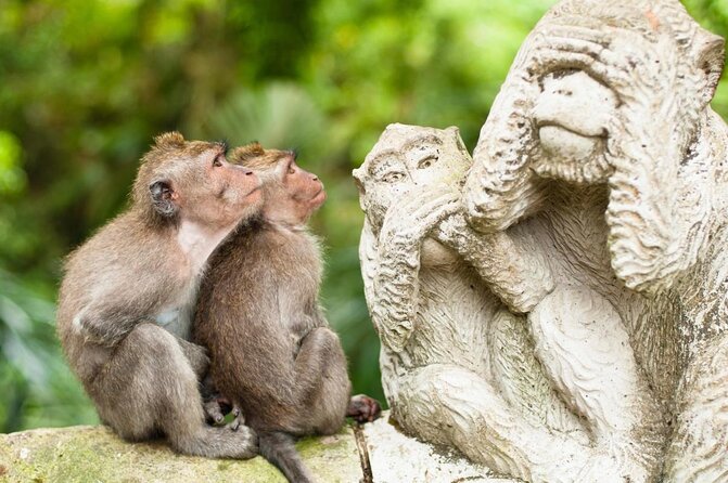 Bali Rafting + Rice Terrace + 1,5Hrs Balinese Massage + Lunch - Key Points to Know Before Booking