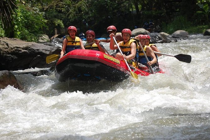 Bali Rafting + Rice Terrace + 1,5Hrs Balinese Massage + Lunch - Tegallalang Rice Terraces and a Traditional Irrigation System