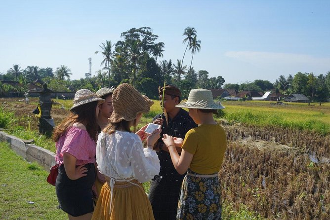 Balinese Traditional Food Cooking Class with Ubud Monkey Forest and SPA - Starting with a 7 am private pickup