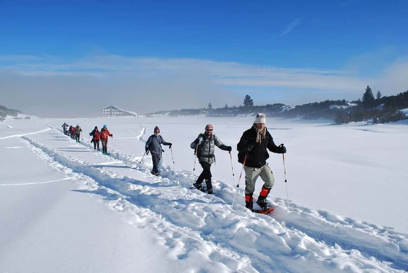 Bansko: Easy snowshoeing Pirin National Park & thermal spa - Key points at a glance
