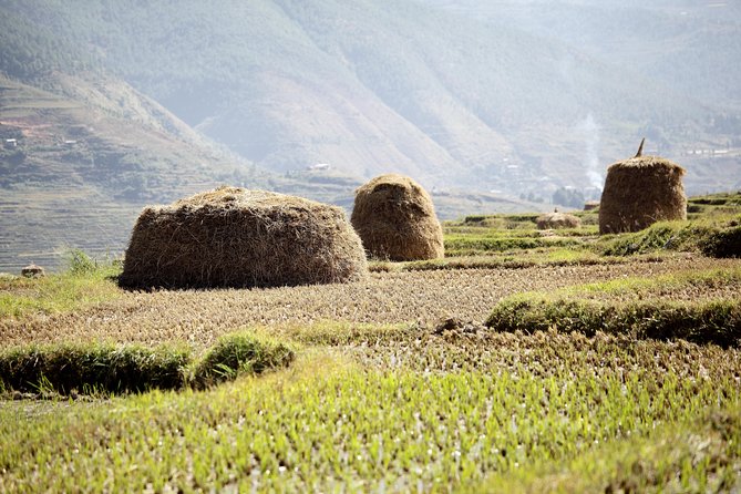 Bhutan Spiritual & Wellness Tour Package With Monastic Stay - Key details that shape the experience