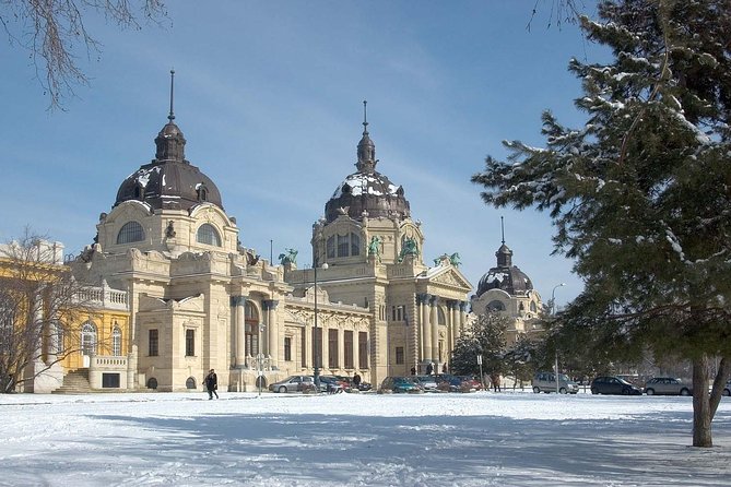 Budapest Széchenyi Spa with Danube Cruise and Optional Dinner - Where the experience can disappoint