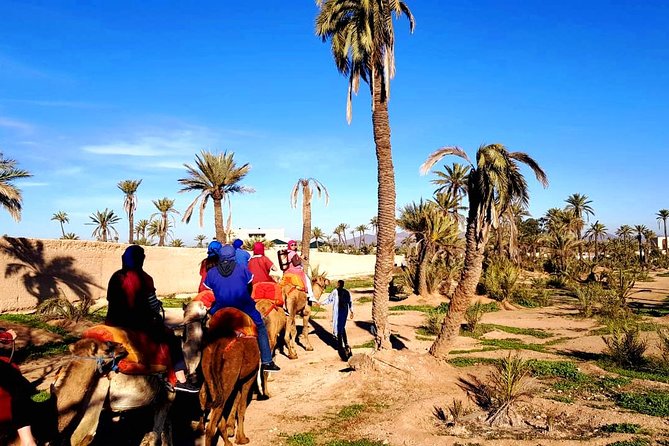 Camel Ride and Spa Treatment in Marrakech - Leaving the hotel in an air-conditioned vehicle