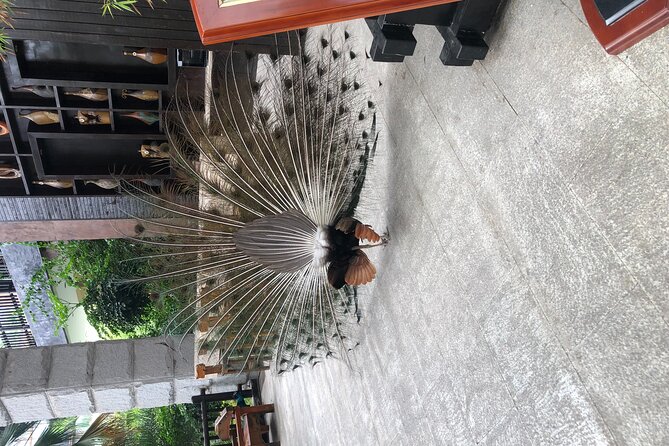 Chongqing Luxury Hot Spring and Massage Luxury Meal Private Tour - Is the $10 price good value?