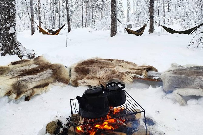 Cocooning in the HaliPuu forest: The ultimate Arctic hammock relaxation - What makes this forest experience special