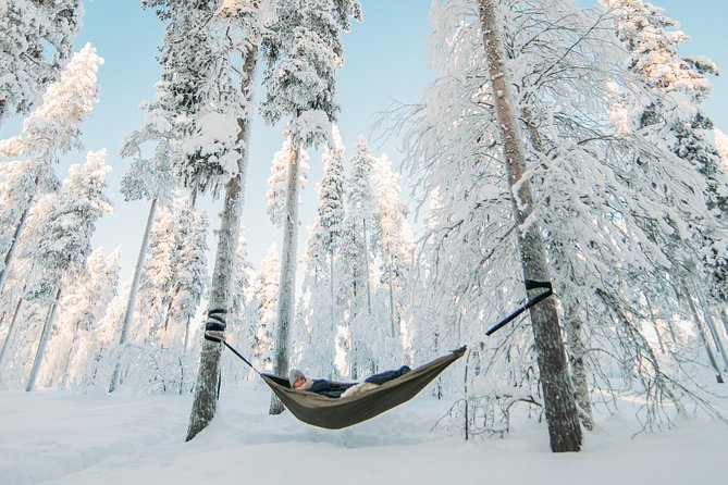 Cocooning in the HaliPuu forest: The ultimate Arctic hammock relaxation - Starting at Veitservasa and entering family woodland