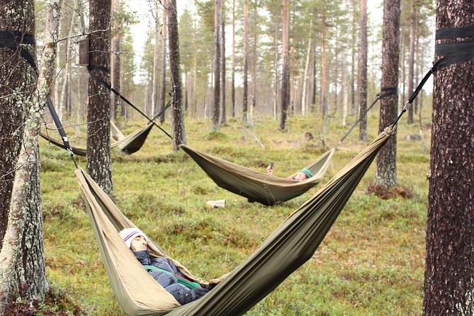 Cocooning in the HaliPuu forest: The ultimate Arctic hammock relaxation - Who will enjoy HaliPuu most?