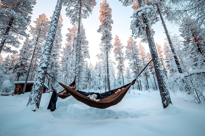 Cocooning in the HaliPuu forest: The ultimate Arctic hammock relaxation - The HaliPuu trees and the story of Pappa