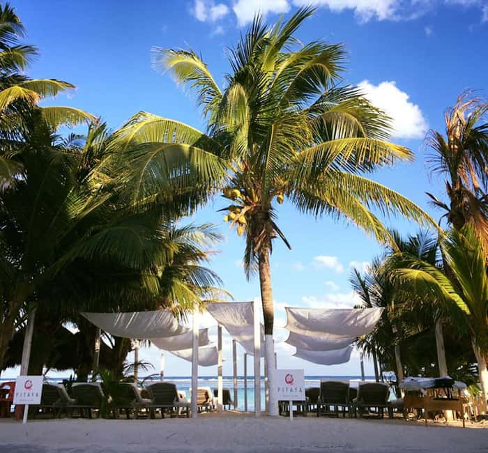 Costa Maya: Beach with Open Bar, Massage, Lunch & Snorkeling - Open-bar drinks, local beer, and purified ice