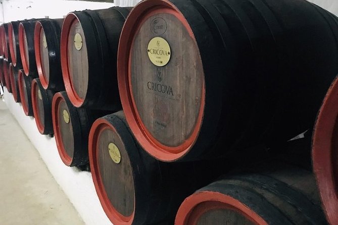 Cricova Winery & SPA Visit - Why this Chisinau day out works so well
