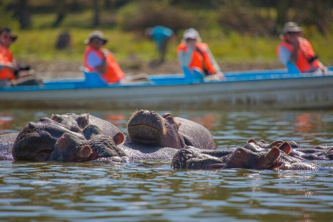 Day Tour to Lake Naivasha, Hell's Gate and Spa - What the $130 price really covers