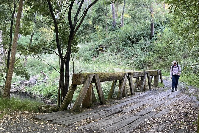 Daylesford Goldfields Track Walking and Wellness Experience - Key points at a glance