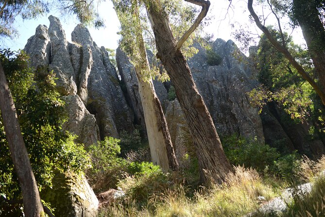 Daylesford Goldfields Track Walking and Wellness Experience - Why this four-day escape works