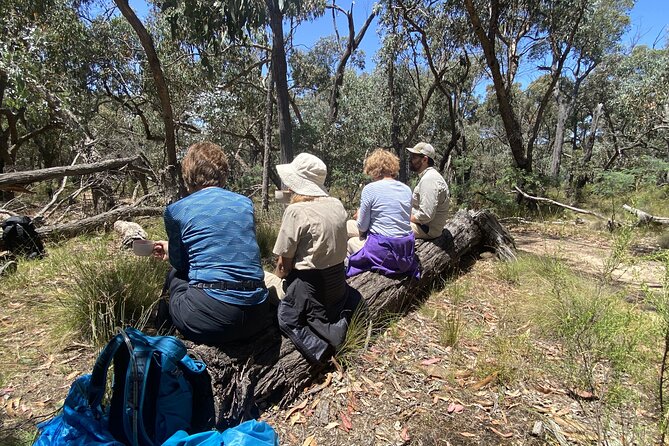Daylesford Goldfields Track Walking and Wellness Experience - Food, accommodation, and the group atmosphere