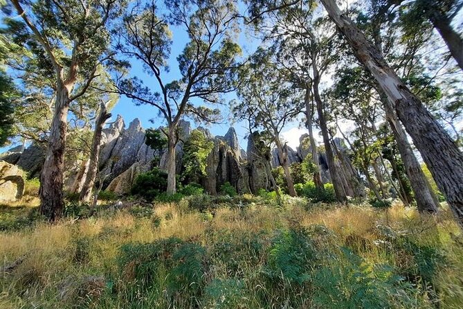 Daylesford Goldfields Track Walking and Wellness Experience - Day 2: Dry Diggings, Fryerstown, and Spring Gully